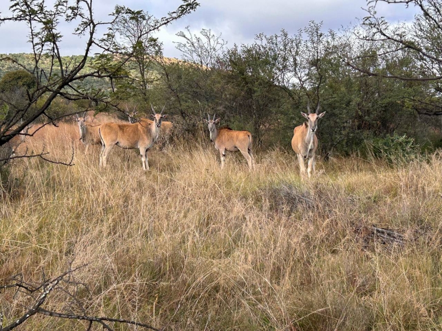 10 Bedroom Property for Sale in Parys Free State